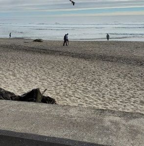 Meet your Posher, Royal